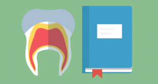 fundas dentales burgos