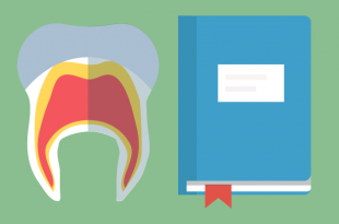 fundas dentales burgos